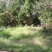Cemetery