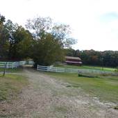 Farmhouse in Madison Co.