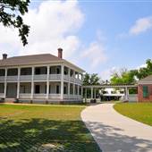 Grass Lawn