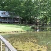 White Oak Cabin