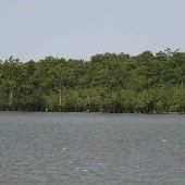 Moon Lake