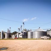Cal-Maine Foods - Edwards