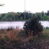 Grogan Lake & Property