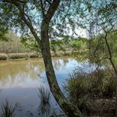 Crystal Lake Park