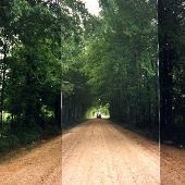 Shady Grove Road