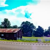 Road, Nitta Yuma