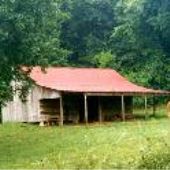Davis China Grove