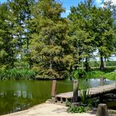 Paul Love Junior Park
