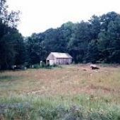Robertson Farm