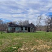 Lexington Kudzu House