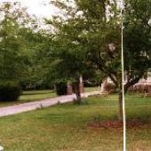 Moss Point Houses