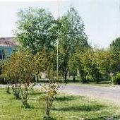 Florewood Plantation - Archival
