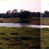 Pond