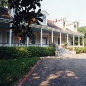 The Briars & kudzu