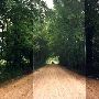 Shady Grove Road