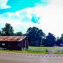 Road, Nitta Yuma
