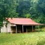 Davis China Grove