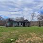 Lexington Kudzu House