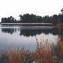 Percy Quin State Park
