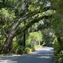Lovers Lane