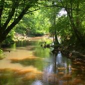 Holmes County State Park