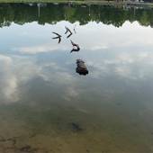 Lake Mike Conner
