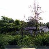 Shack (Abbeville Teardown Church)