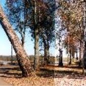 Park