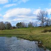 Moore Farms