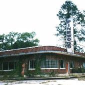 Pinewood Court