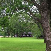 Pecan Grove