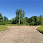 Vacant Lot - Cul de sac