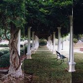 Park