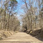 State Park Road
