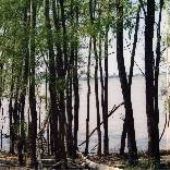 Mississippi River at Friar's Point