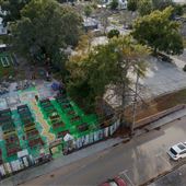 Ruth's Roots Community Garden