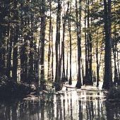 Lake St. John