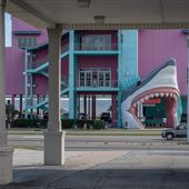 Sharkheads