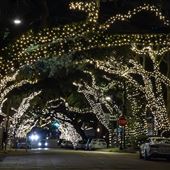 Ocean Springs - Downtown Holiday Tree Lights