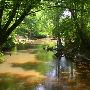 Holmes County State Park