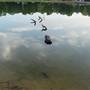 Lake Mike Conner