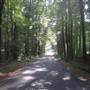 Old Natchez Trace Country Road