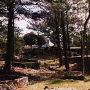 Piney Woods School