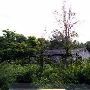 Shack (Abbeville Teardown Church)