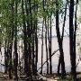 Mississippi River at Friar's Point