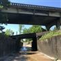 Jackson Underpasses