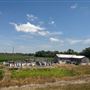 Hwy 82 between Indianola & Greenwood - Rural Shack & Murray Gins