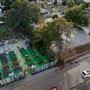 Ruth's Roots Community Garden