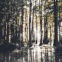 Lake St. John