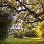 Ladnier House